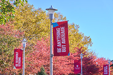 Multiple banners on lightposts. Links to What to Give